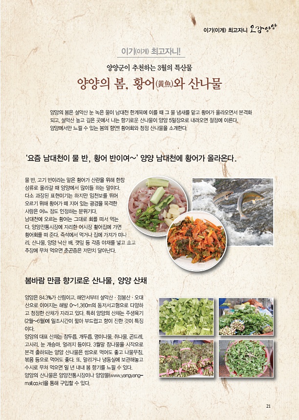 양양소식지(제263호)