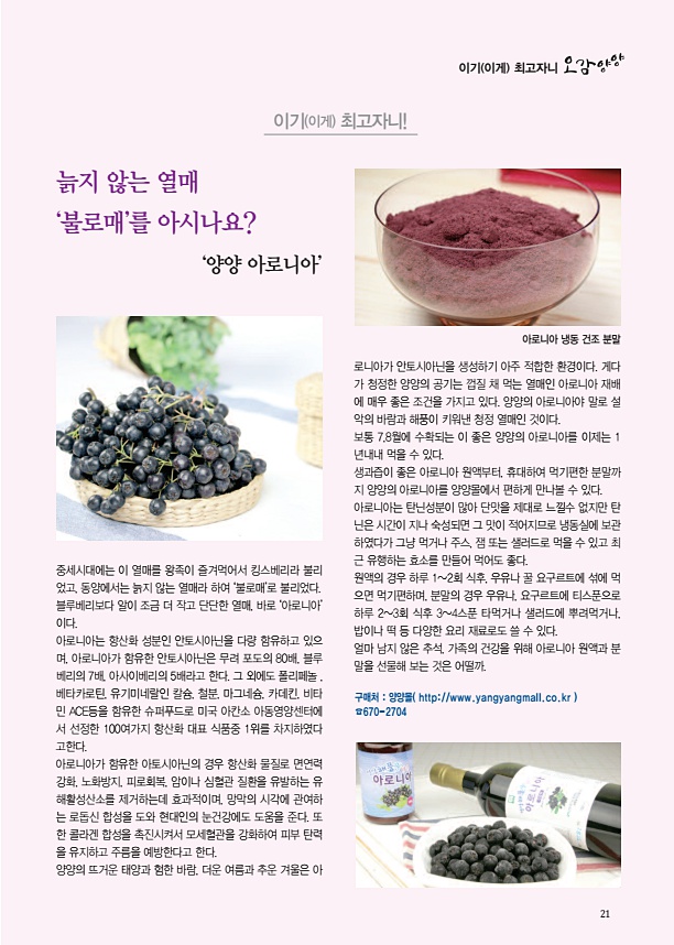 양양소식지(제268호)