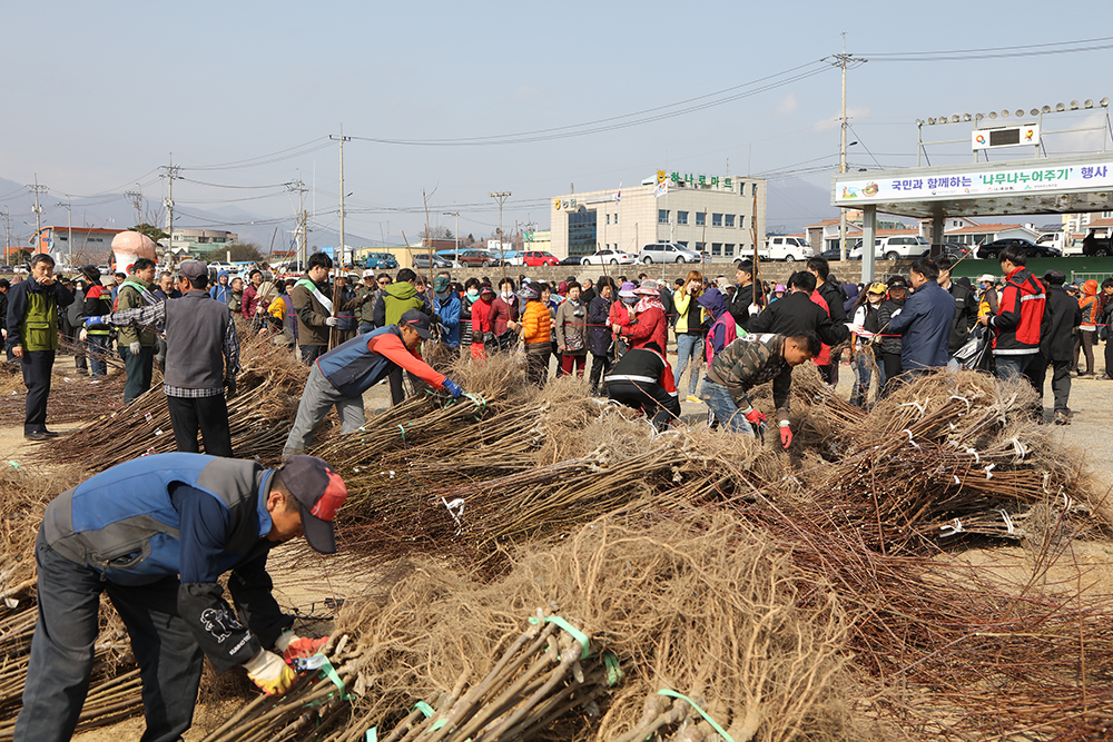 2018 03 30 식목일기념 나무나누어주기 행사