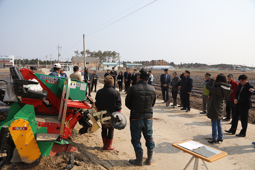 2019 03 19 오륜감자 파종연시