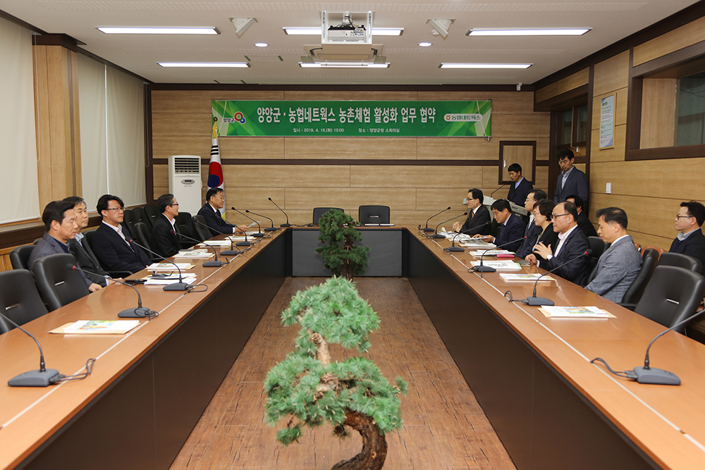 20190416 양양군-농협네트웍스 업무협약식