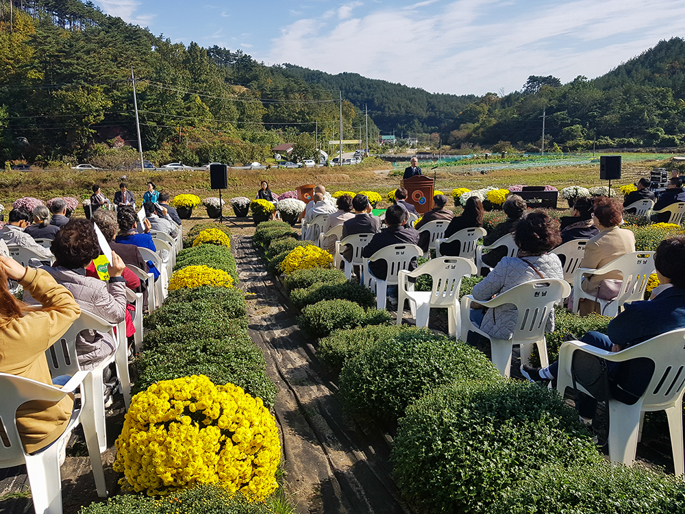 20191026 국화와 시가 피어나는 축제-해인다예원