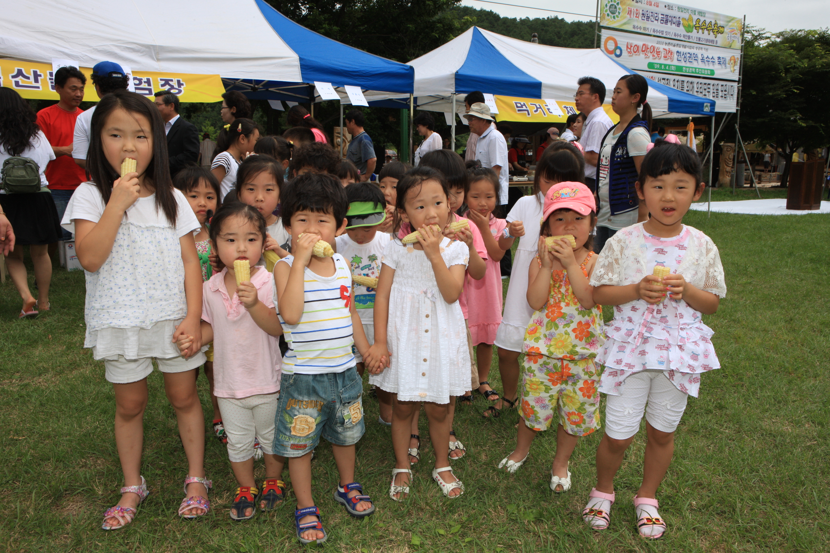 원일전리 "금풀애 옥수수 축제"