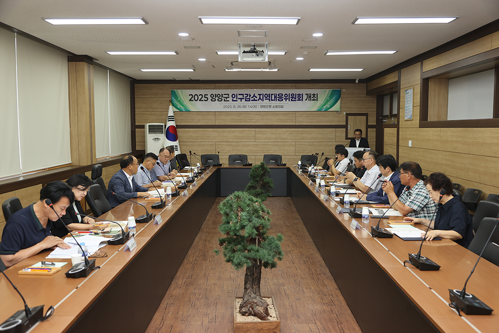 20250826 인구감소지역 대응위원회